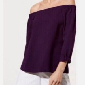 Aritzia Babaton Rodrigo Off the Shoulder Top